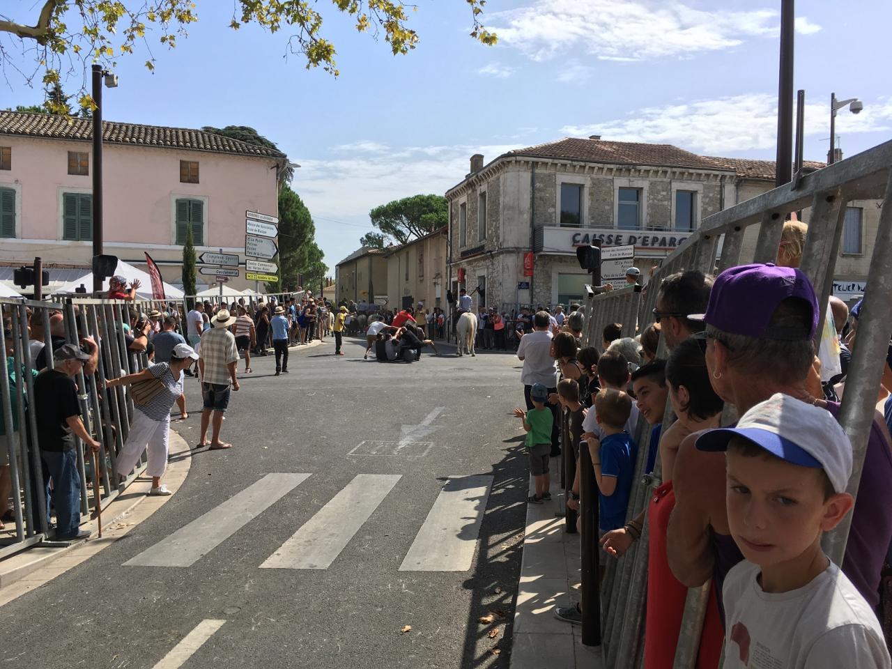 Fete des foins 032