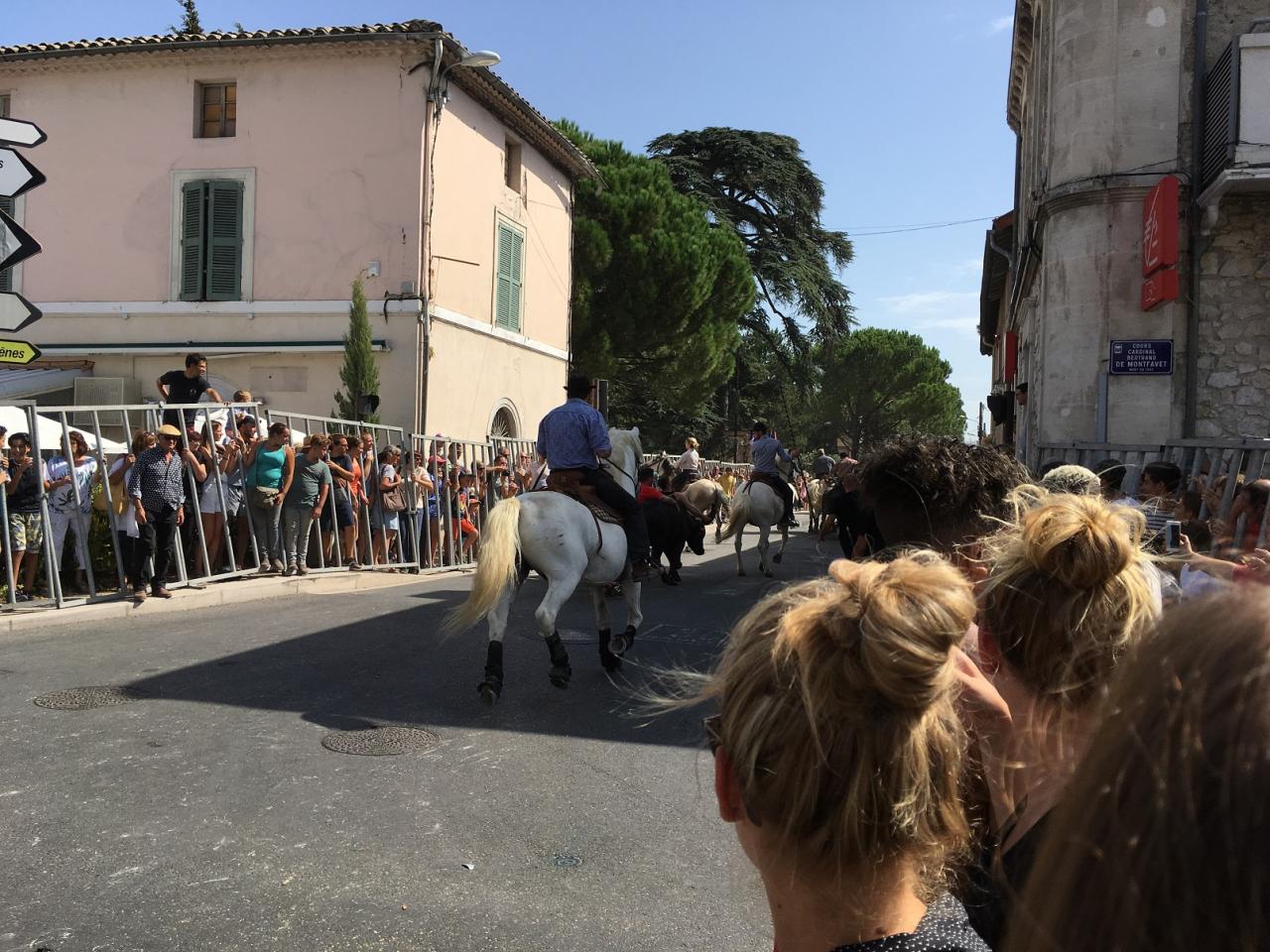 Fete des foins 035