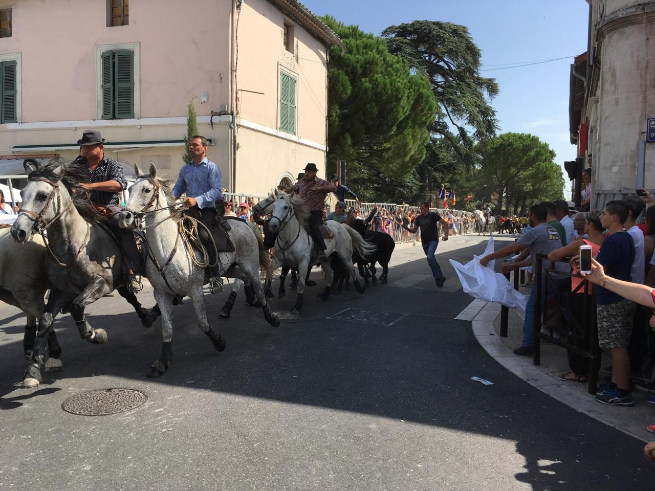 Fete des foins 039