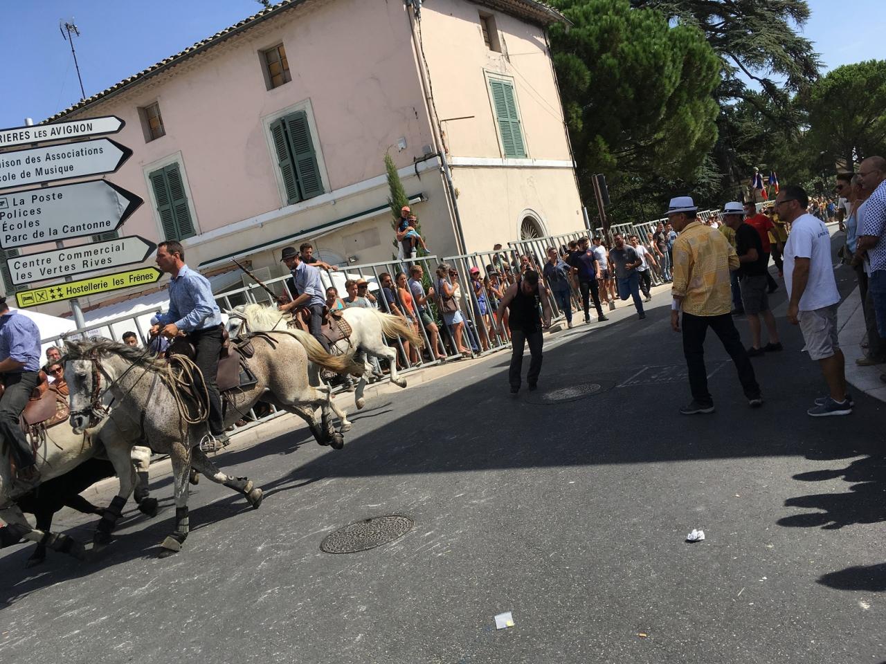 Fete des foins 043