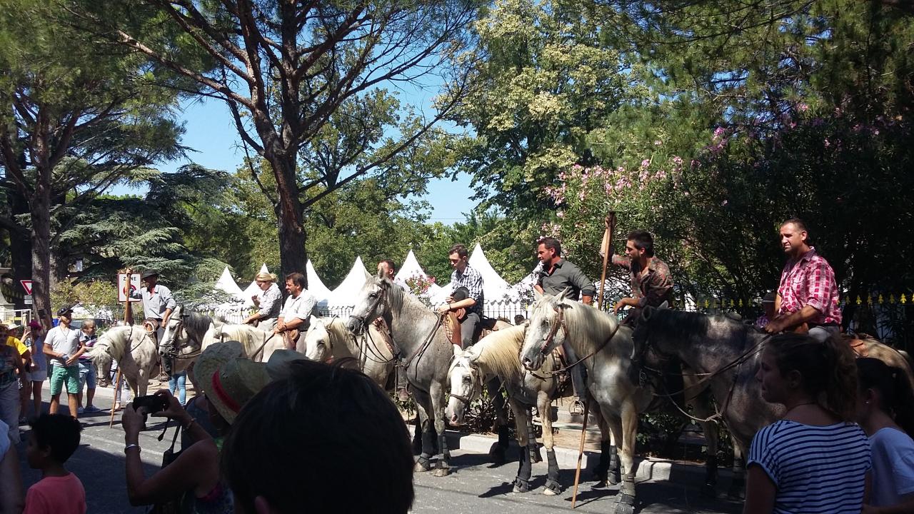 Abrivado 3