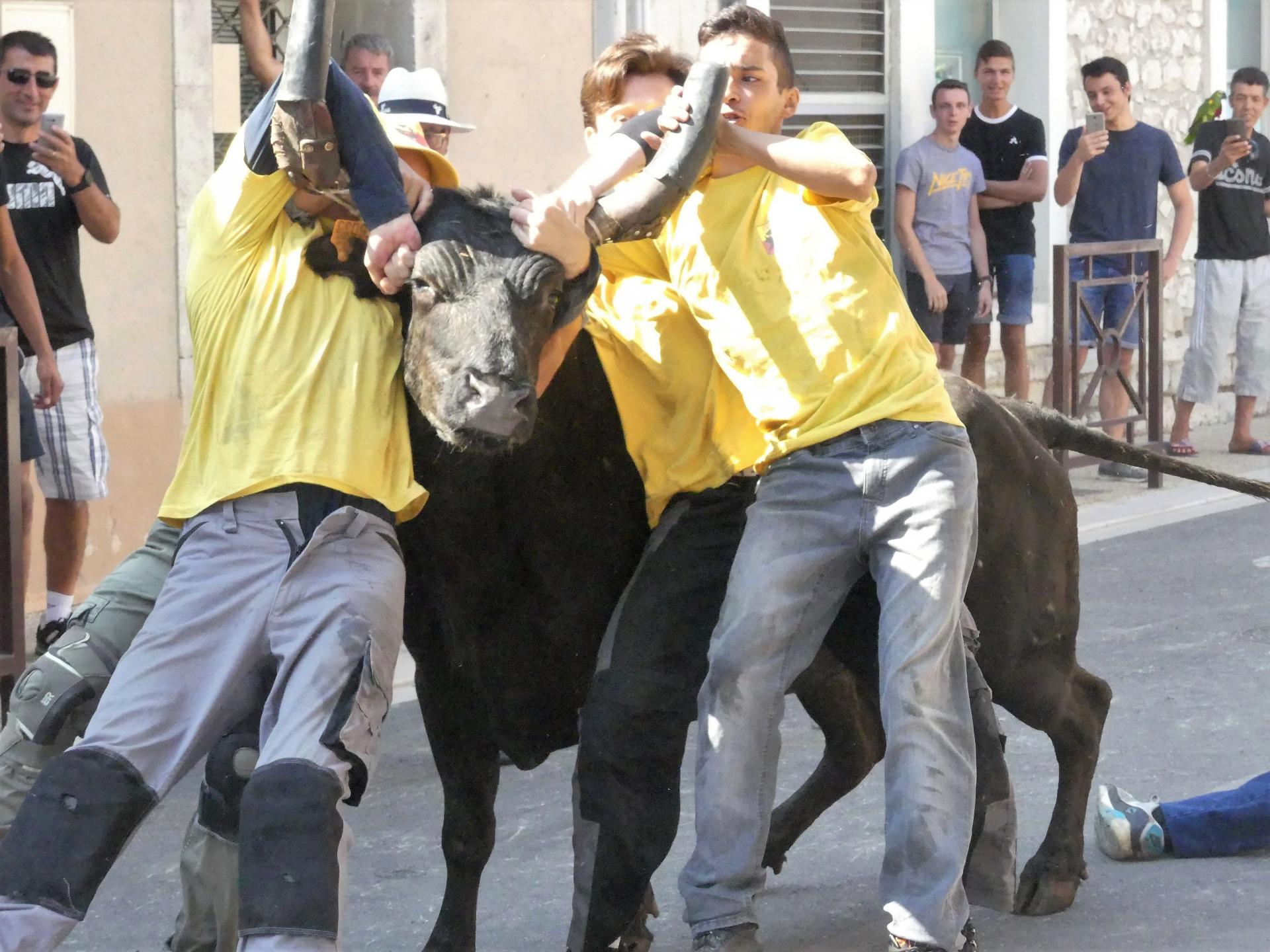 Vainqueur du jour